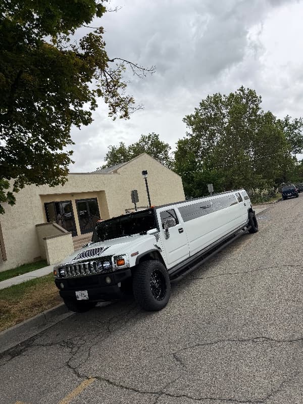 GENTLEMAN LIMOUSINES LLC - photo 2