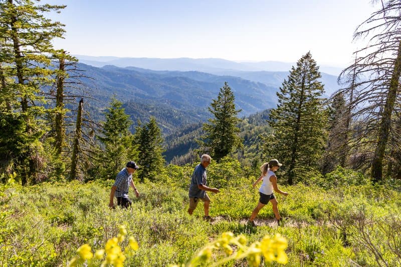 Bogus Basin - photo 2