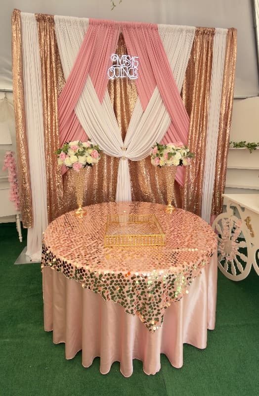 Quintero Party Rentals photo 5