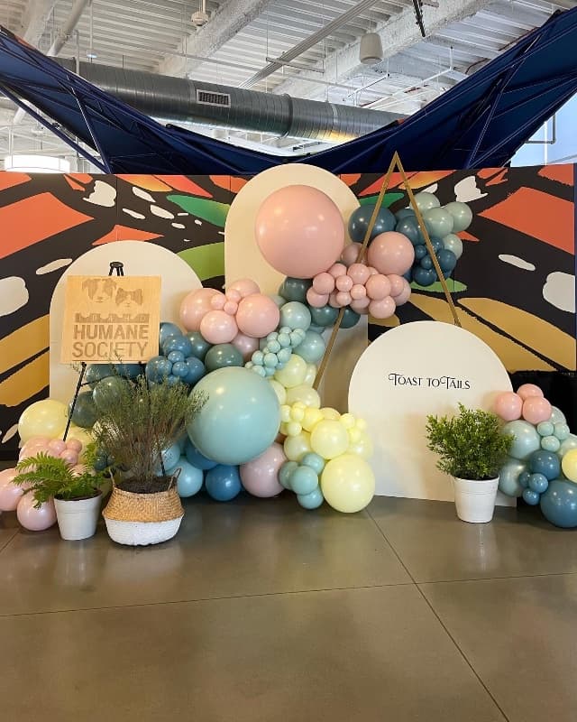 Rocky Mountain Balloons & Event Design photo 3