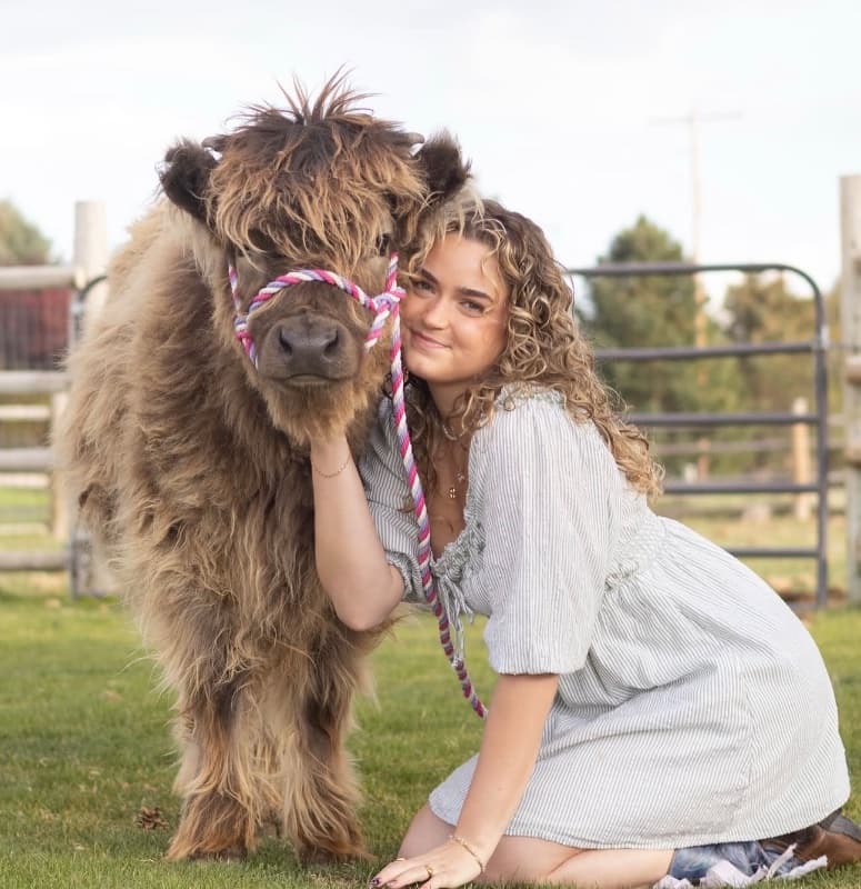 Taylor Mountain Mini Ranch - Interactive experience provider