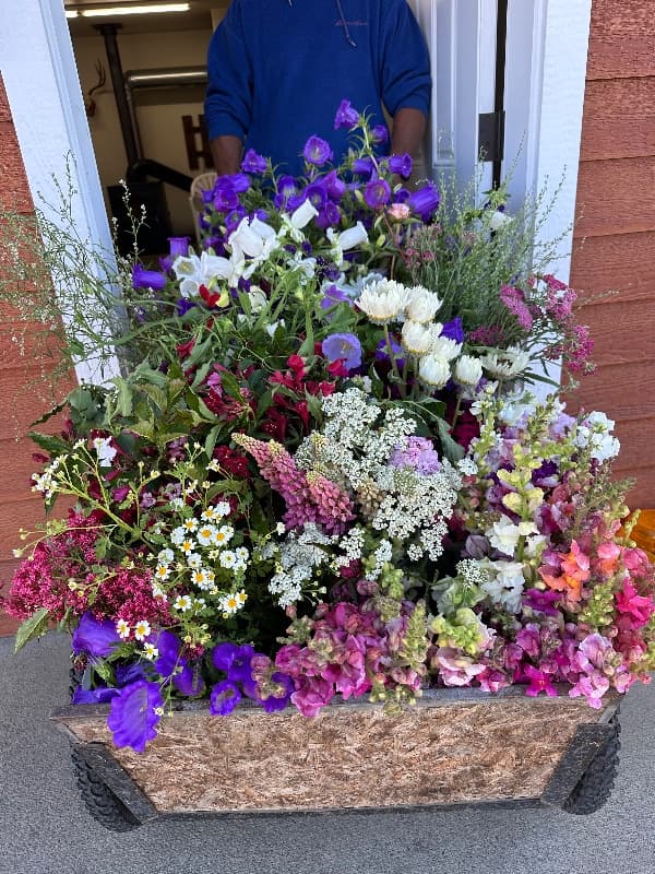 Miss Cindy’s Garden - Florist