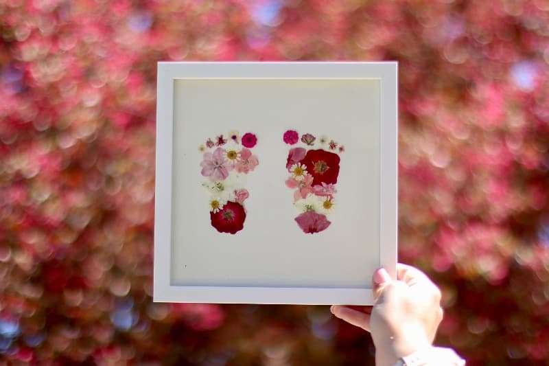Pressed Floral By Hailey