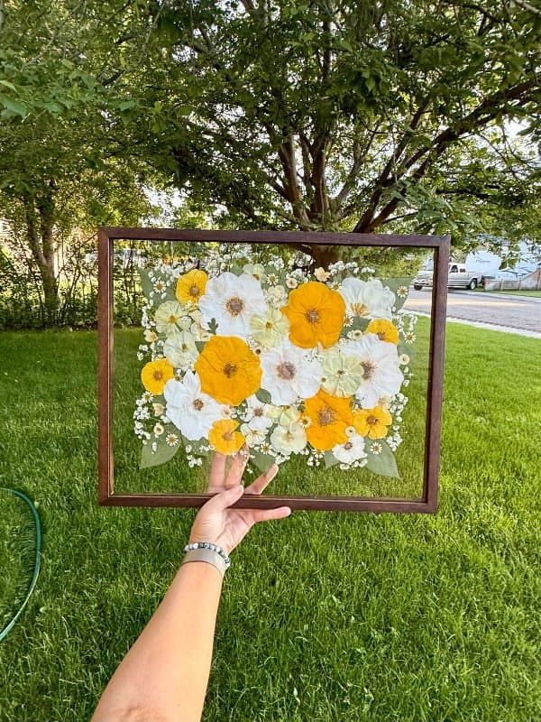 Idaho Pressed Flowers - photo 2